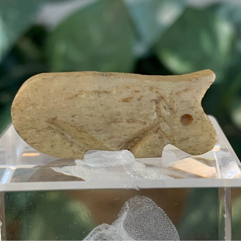 Beige Bear Bone Bead Fetish Animal Carving Drilled Hand Carved Mammal 1.1" x .5"